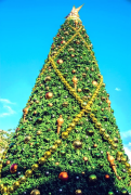 árvore-de-natal 23 lista